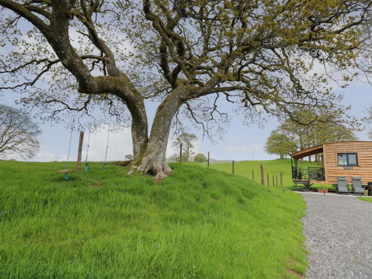 Villa Wild Acre Llangadog Exterior foto
